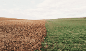 مقالات رشته زمین شناسی